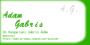 adam gabris business card