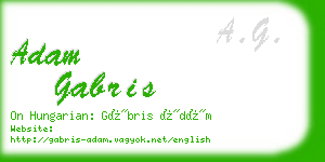 adam gabris business card